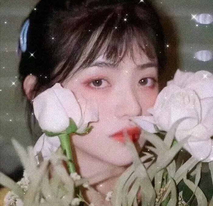 医妃搬空库房去逃荒